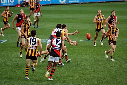 Part of an AFL match between the Hawthorn and Essendon teams