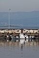 * Nomination: Fishing boat underneath a lamppost. Vilagarcía de Arousa. Galicia (Spain)--Lmbuga 18:10, 22 August 2011 (UTC) * * Review needed
