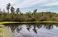 * Nomination Bargerveen Meerstalblok. Peat lake with growing peat bog. --Agnes Monkelbaan 04:48, 8 October 2019 (UTC) * Promotion  Support Good quality. --Manfred Kuzel 05:00, 8 October 2019 (UTC)