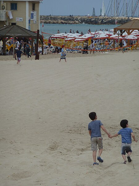 File:Beaches of Tel Aviv P1140123.JPG