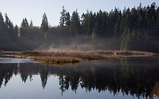 Puget lowland forests Temperate coniferous forest ecoregion in British Columbia, Canada and Washington, United States