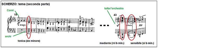 Beethoven Symphonie de la 02.jpg de Mov3