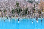青い池のサムネイル
