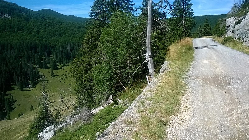 File:Bilenski Padež - panoramio (5).jpg