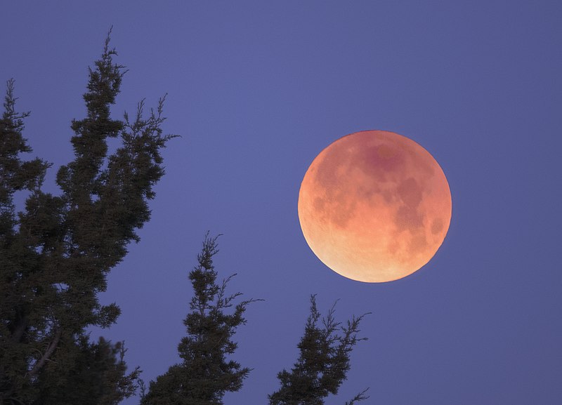 File:Bloodmoon (25136519267).jpg