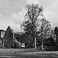 Border Abbeys 2016 - Dryburgh Abbey to Tweedbank (26100320875).jpg
