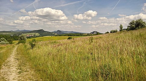 Braňany : paysage rural.