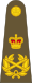 British Army OF-10.svg