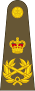 Shoulder insignia consisting of crossed golden batons surrounded by golden oak leaf embellishment, topped with a crown.