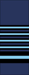 Marshal of the RAF sleeve insignia
