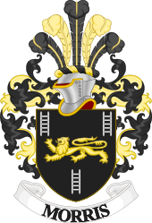 A typical piece of "bucket shop" heraldic artwork, which would be referred to as the "Morris family crest" Bucket Shop Morris Family Crest.svg