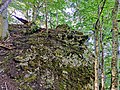 Vorschaubild für Burg Altgrafenstein