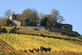 17.4.07 Burgruine Weibertreu