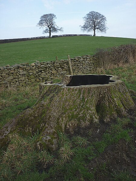 File:Burnt out tree stump by the path to High House Farm - geograph.org.uk - 2830315.jpg