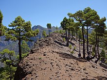 Caldera de Taburiente (La Palma, Islas Canarias, España) 03.JPG