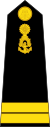 Lieutenant Junior Grade