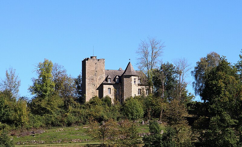 File:Château de Arcizans-Avant (Hautes-Pyrénées) 1.jpg