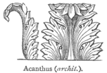 Палаты 1908 Acanthus.png