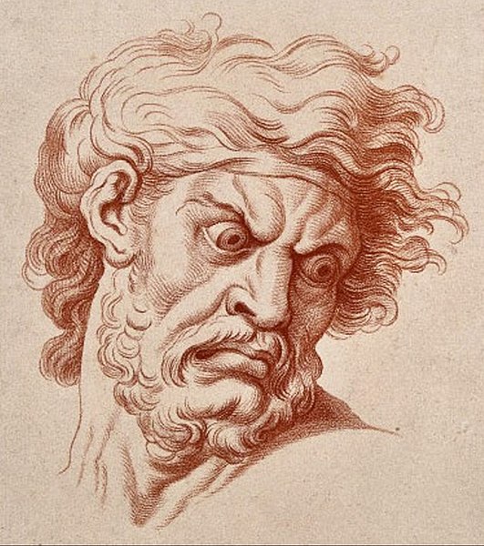 File:Charles Le Brun La Colère.jpg