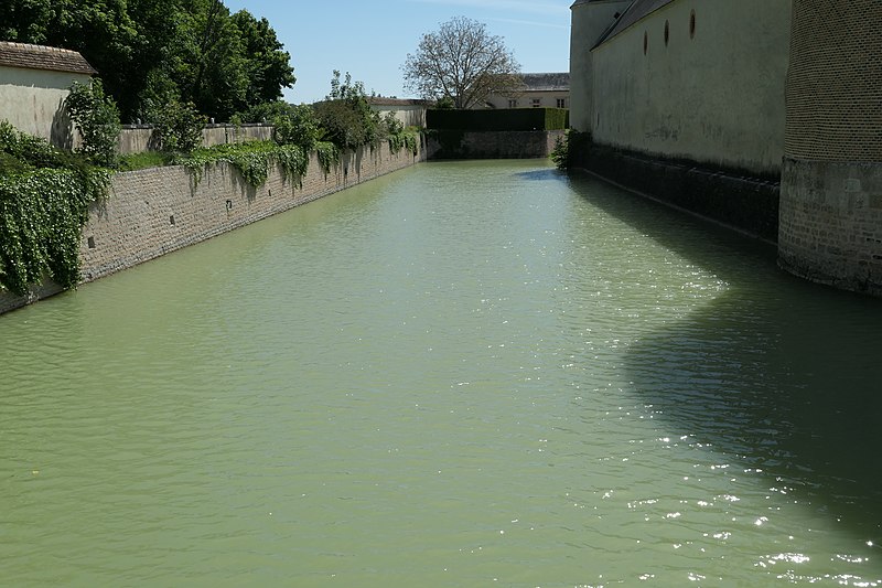 File:Chilleurs-aux-Bois - château de Chamerolles 28.jpg