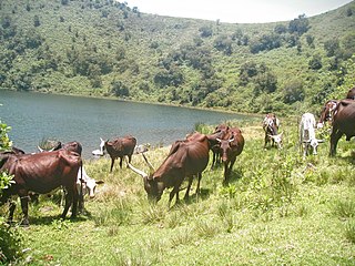 Muanenguba Lakes