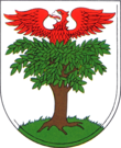 Former coat of arms of Buchholz