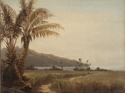 "Cocotiers_au_bord_de_la_mer,_St._Thomas_(Camille_Pissarro)_-_VMFA_83-45.jpg" by User:Elya