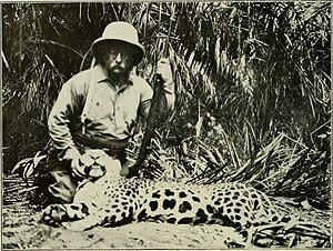 Panthera Onca: Etimologia, Taxonomia e evolução, Distribuição geográfica e habitat