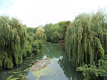 Fotografia colorida de um rio entre duas margens arborizadas com uma massa de alvenaria rente à água.