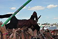 Crossfaith auf der Clubstage bei Rock am Ring 2014