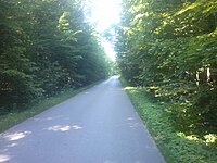 Droga w Lesie „Głażyna” do DW 870 i Leżachowa