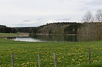 D-BW-Ostrach - Lausheimer Weiher 001.JPG