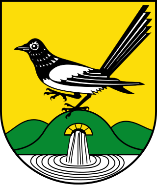 Wappen der Stadt Bad Elster