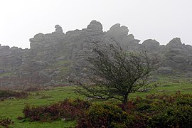 Dartmoorský honič Tor.jpg