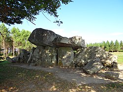 Illustratives Bild des Artikels Pierre Folle (Montguyon)