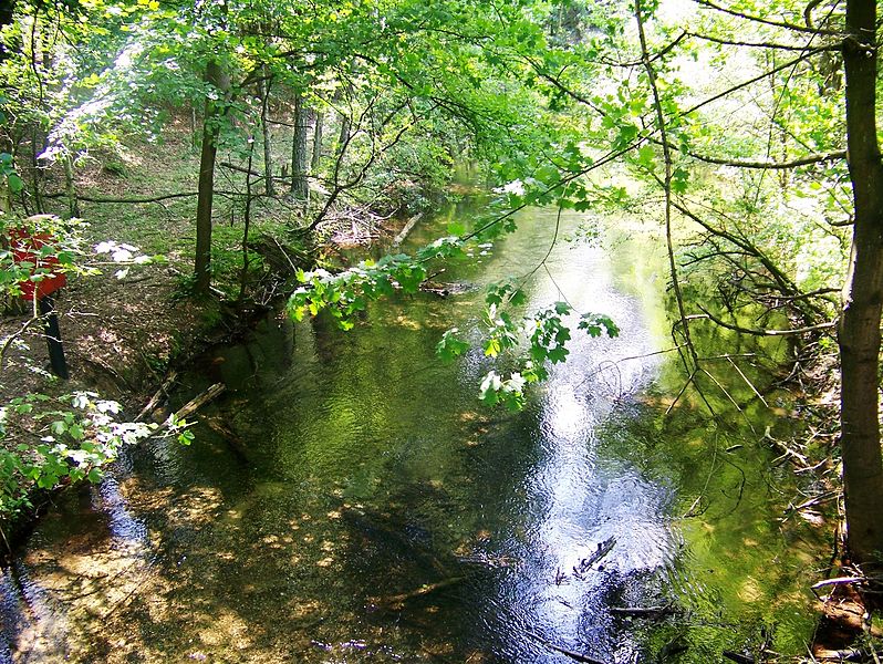 File:Drawienski Park Narodowy - Kanal Gluchy.jpg