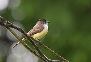 Popis tohoto obrázku, také komentován níže