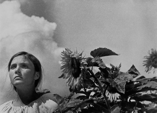 A shot from the first montage, showing a woman standing next to a sunflower against the sky