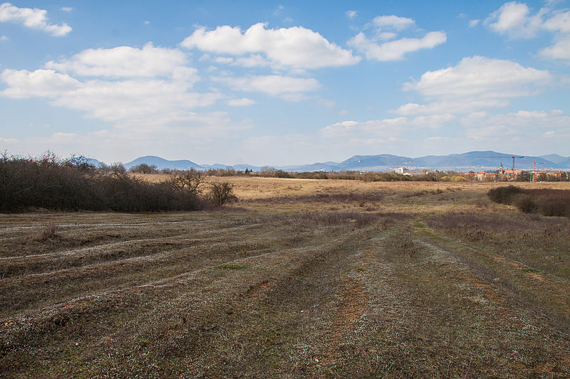 File:Ebenberg in Landau im April.JPG