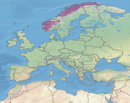 Toendra van Noorwegen, Zweden en Finland