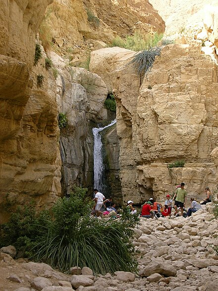 The Arugot Stream "Hidden Waterfall"