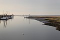 Ein Stück Salzwiese am Hafen von Neßmersiel, Nationalpark Niedersächsisches Wattenmeer.jpg