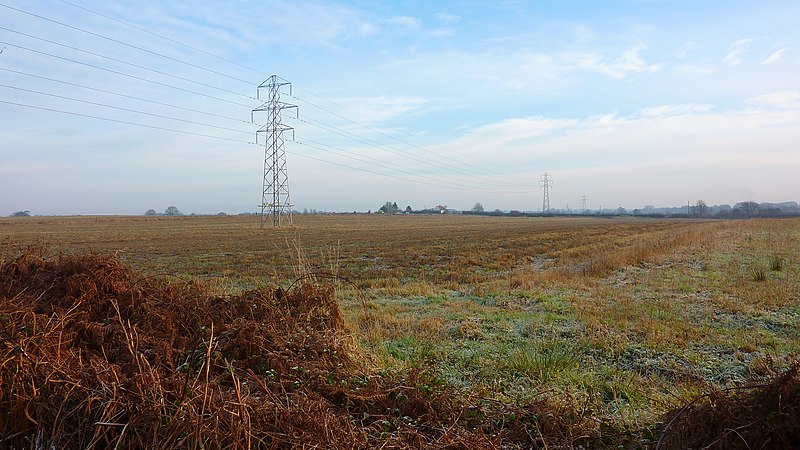 File:Electricity Pylons near Winwick - geograph.org.uk - 3296886.jpg