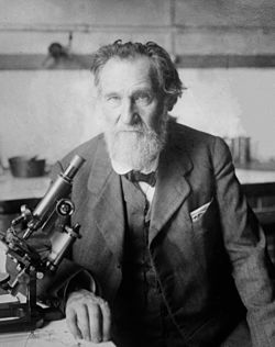 Elie Metchnikoff - Between ca. 1910 and ca. 1915 - LOC.jpg