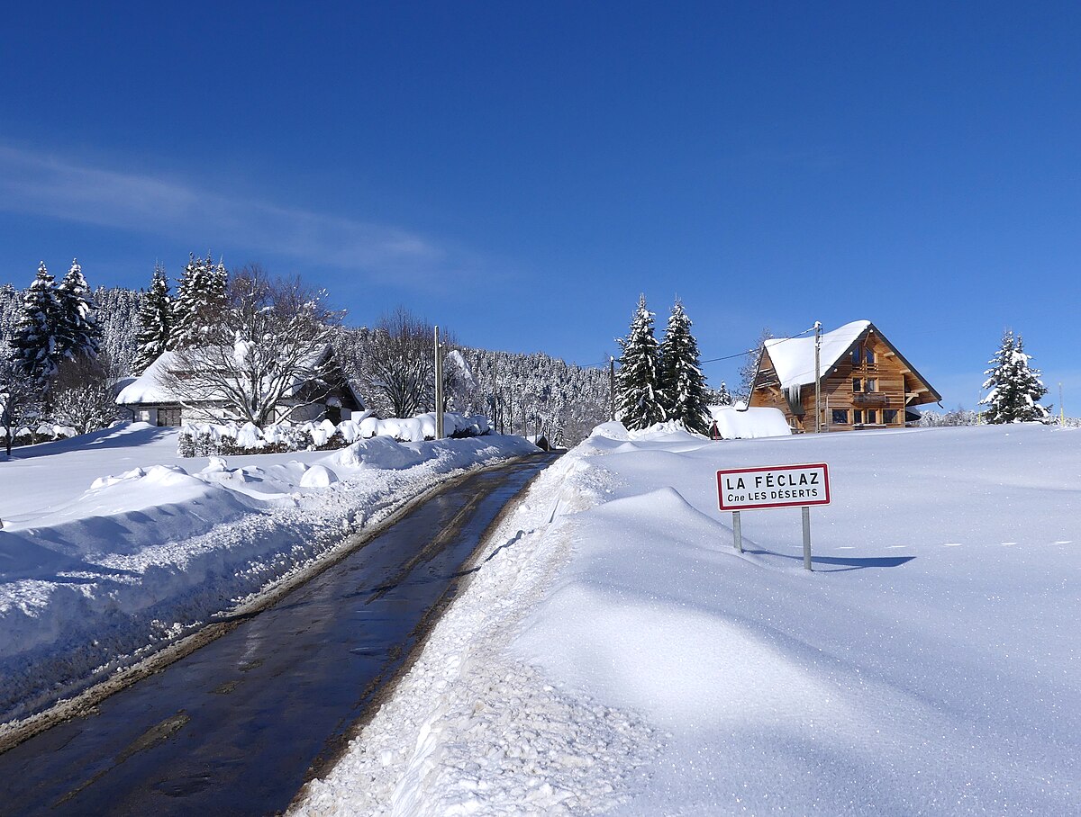 La neige перевод