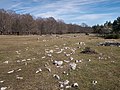 * Nomination Mountain pasture in the Entzia mountain range. Álava, Basque Country, Spain --Basotxerri 16:11, 15 March 2017 (UTC) * Promotion Good quality. --Ermell 19:45, 15 March 2017 (UTC)