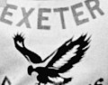 Thumbnail for Exeter Falcons