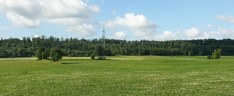 File:Flügelau 280608.jpg