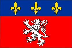 Прапор Ліона