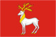 Rosztov zászlaja
